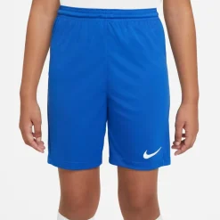 NIKE DRI-FIT PARK III BIG KIDS