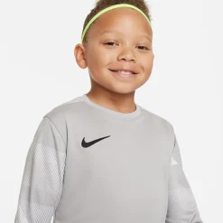 Nike Dri-fit Park Iv Goalkeeper Big