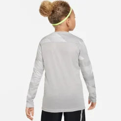 Nike Dri-fit Park Iv Goalkeeper Big