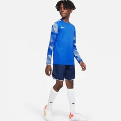 Nike Dri-fit Park Iv Goalkeeper Big