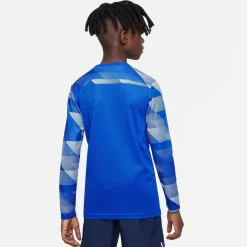 Nike Dri-fit Park Iv Goalkeeper Big