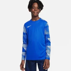 Nike Dri-fit Park Iv Goalkeeper Big