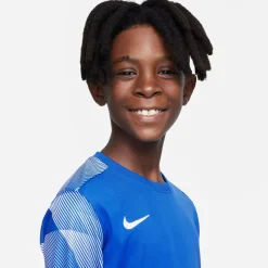 Nike Dri-fit Park Iv Goalkeeper Big