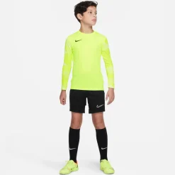 Nike Dri-fit Park Iv Goalkeeper Big