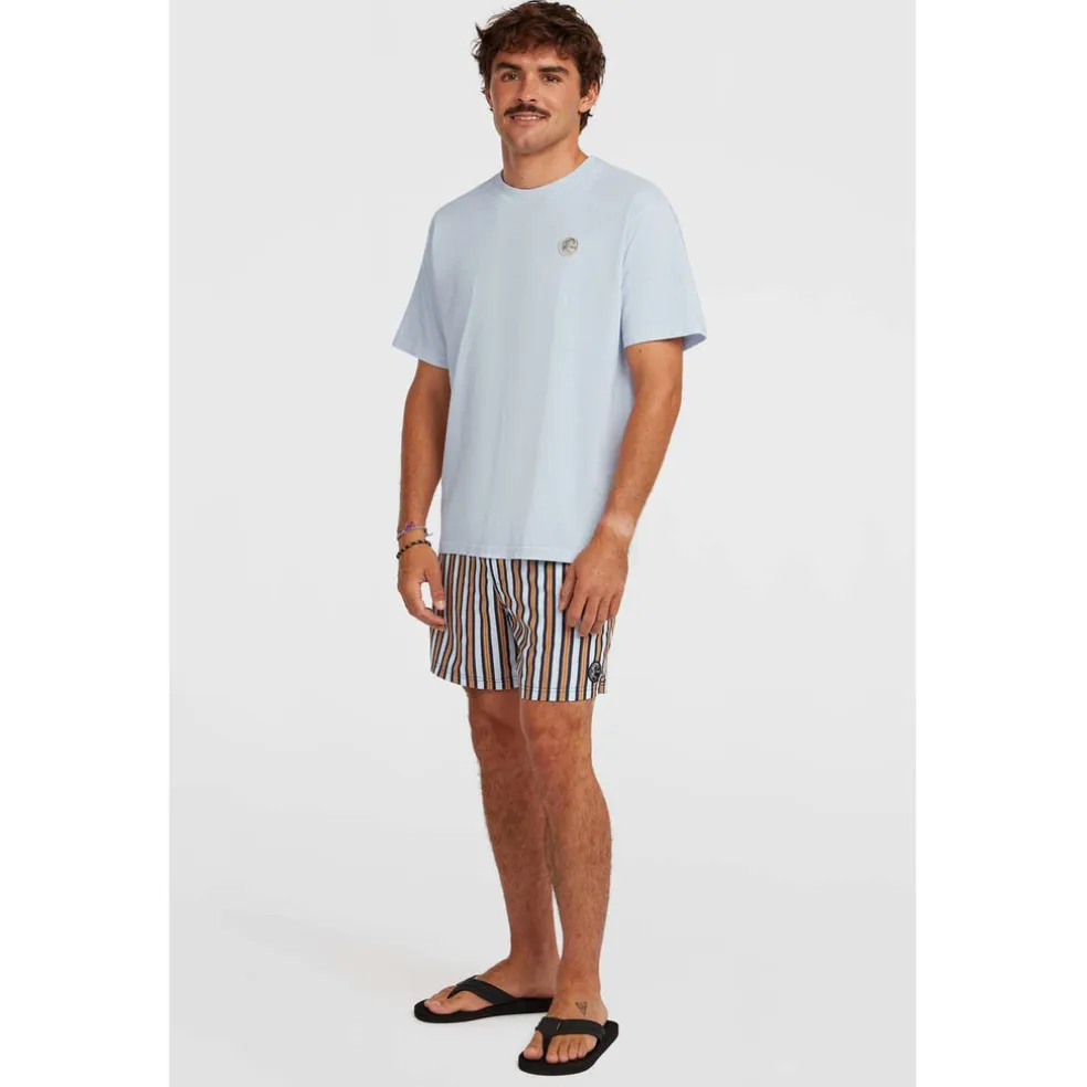 Originals Stripe 15 Zwemshort
