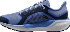 Pegasus 41 Gore-tex hardloopschoenen