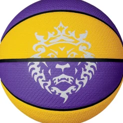 Playground 2.0 8p L James Deflated basketbal
