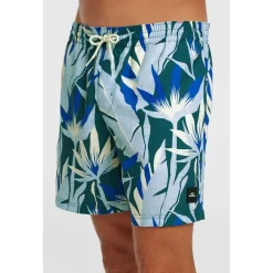 Print 16 Zwemshort