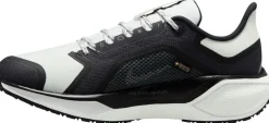 SCARPE NIKE PEGASUS 41 GORE-TEX W COBALT/BRONZE/NA