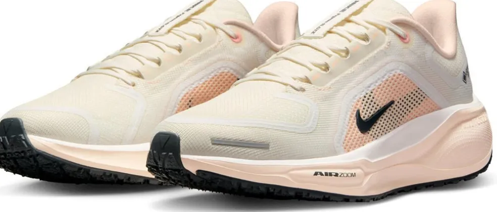 SCARPE NIKE PEGASUS 41 GORE-TEX W COBALT/BRONZE/NA