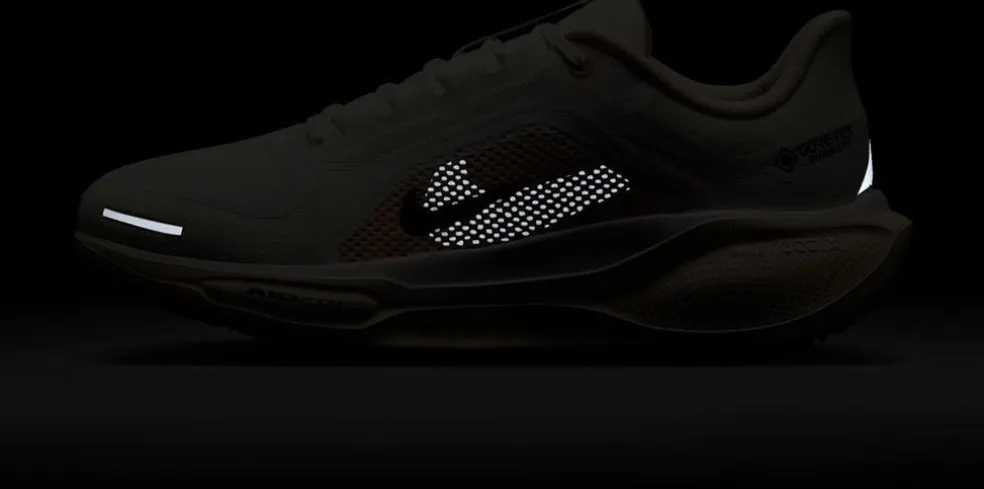 SCARPE NIKE PEGASUS 41 GORE-TEX W COBALT/BRONZE/NA
