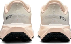SCARPE NIKE PEGASUS 41 GORE-TEX W COBALT/BRONZE/NA