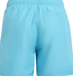 solid shorts by