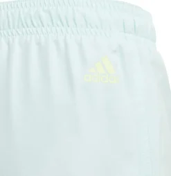 Sportswear Essentials Logo CLX kids zwemshort