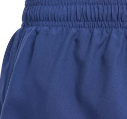 Sportswear Essentials Logo CLX kids zwemshort