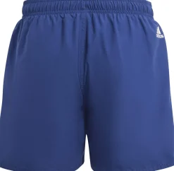 Sportswear Essentials Logo CLX kids zwemshort