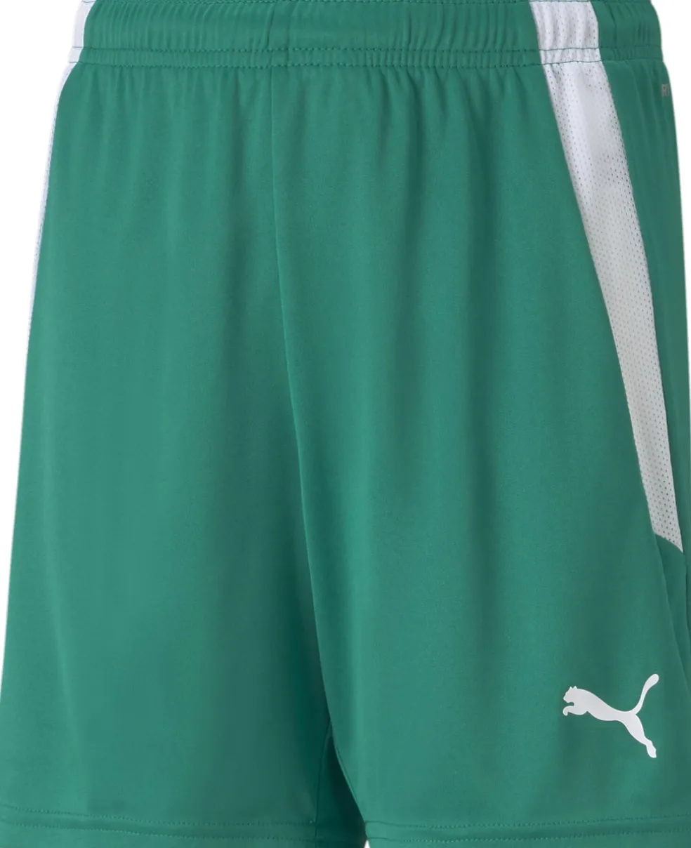 Teamliga kids short