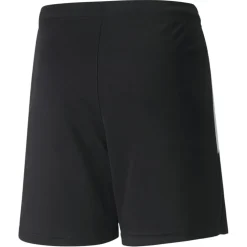 teamLIGA Shorts Short 100%PES