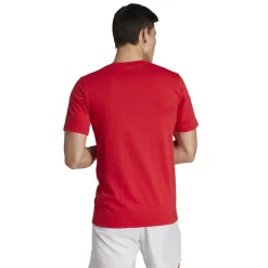 Train Essentials Seasonal Training Graphic shirt