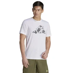 Train Essentials Seasonal Training Graphic shirt