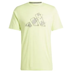 Train Essentials Seasonal Training Graphic shirt