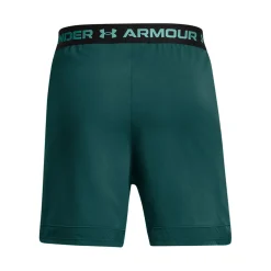 Vanish Woven 6in short