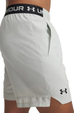 Vanish Woven 6in short