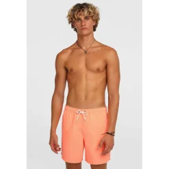 Vert 16 Zwemshort