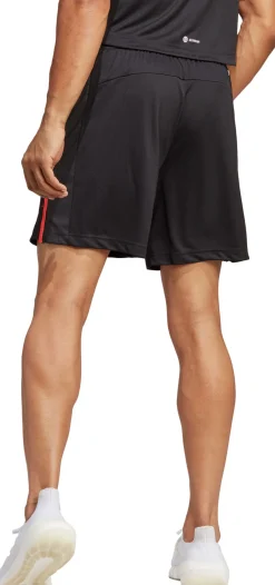 Work Out Base short
