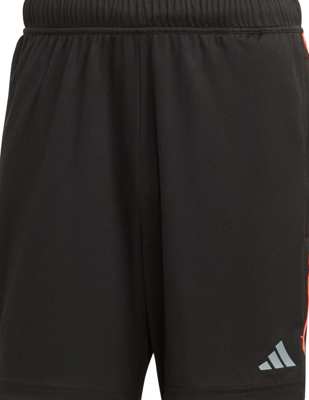 Work Out Base short