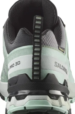 xa pro 3d v9 gore-tex w outdoorschoenen