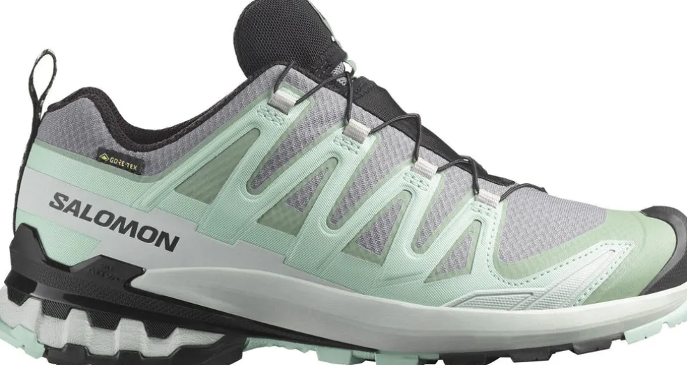 xa pro 3d v9 gore-tex w outdoorschoenen