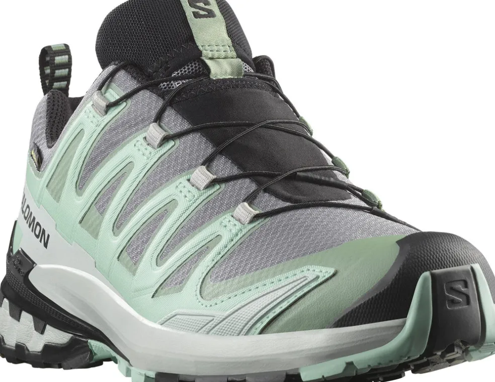 xa pro 3d v9 gore-tex w outdoorschoenen
