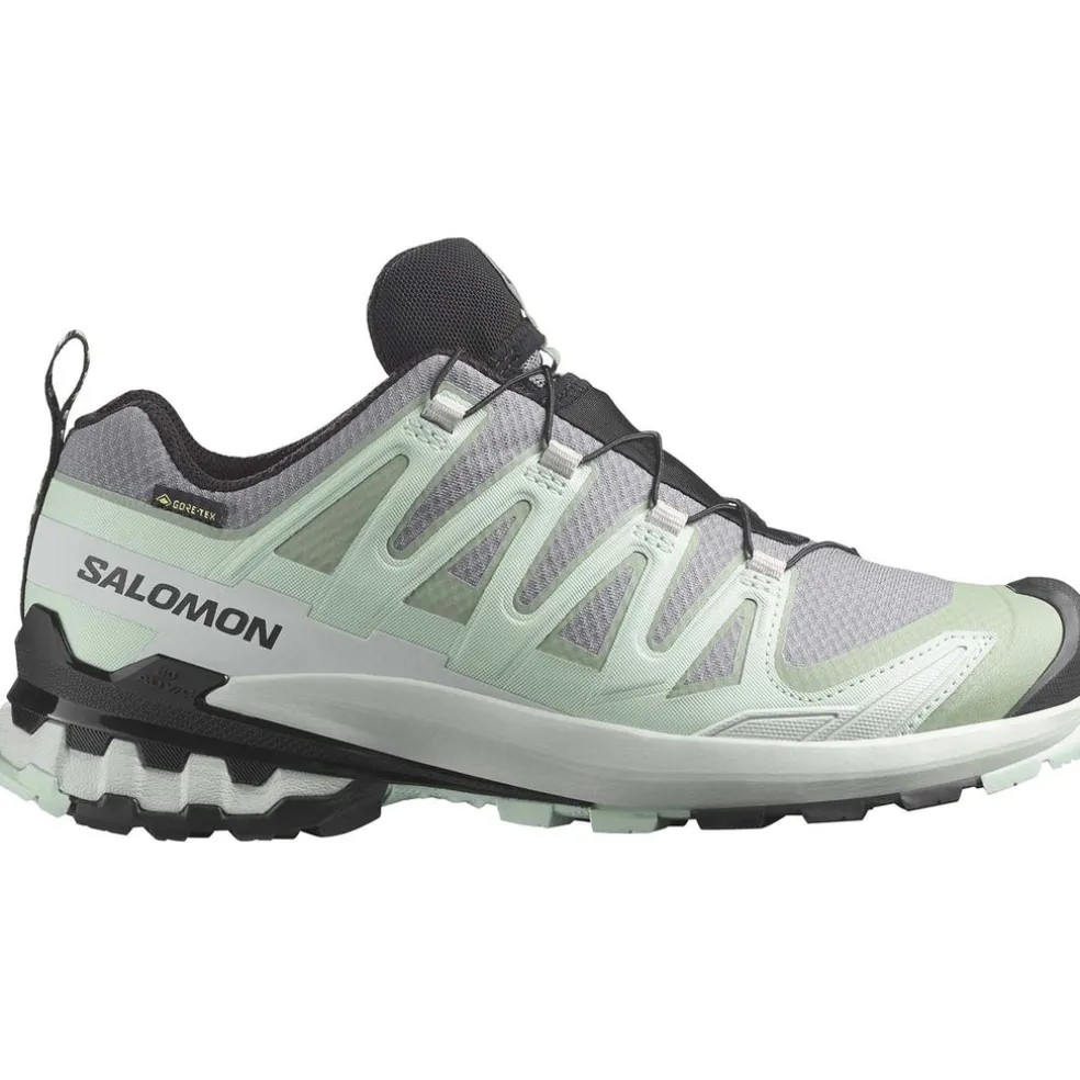 xa pro 3d v9 gore-tex w outdoorschoenen